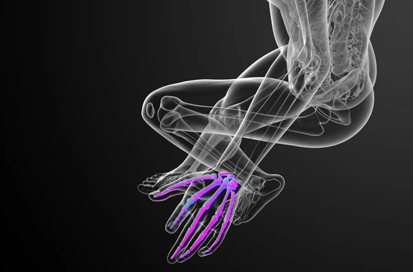 骨架的手三维渲染图 — 图库照片