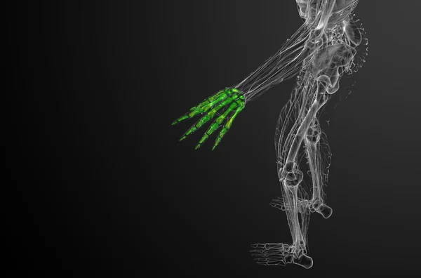 骨架的手三维渲染图 — 图库照片