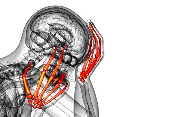 Illustrazione di rendering 3d della mano dello scheletro — Foto Stock