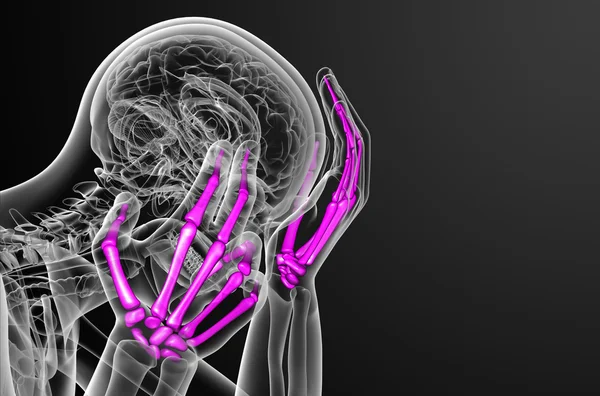 骨架的手三维渲染图 — 图库照片