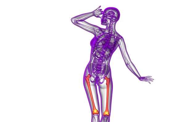 3d tornar ilustração médica do osso do fêmur — Fotografia de Stock