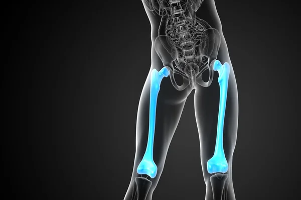 3d render medical illustration of the femur bone — Stock Photo, Image