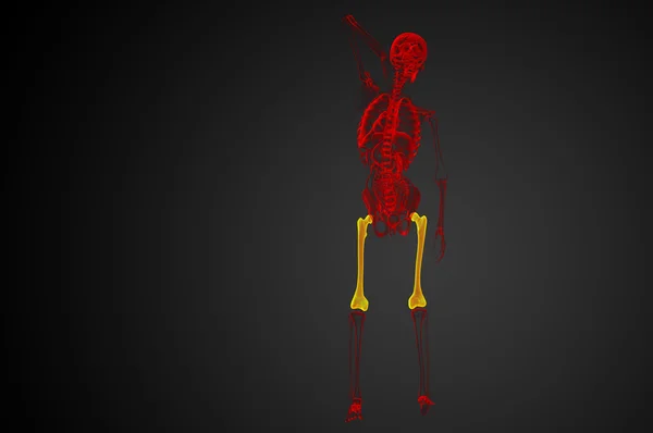 3d 渲染医学插图的股骨颈骨 — 图库照片