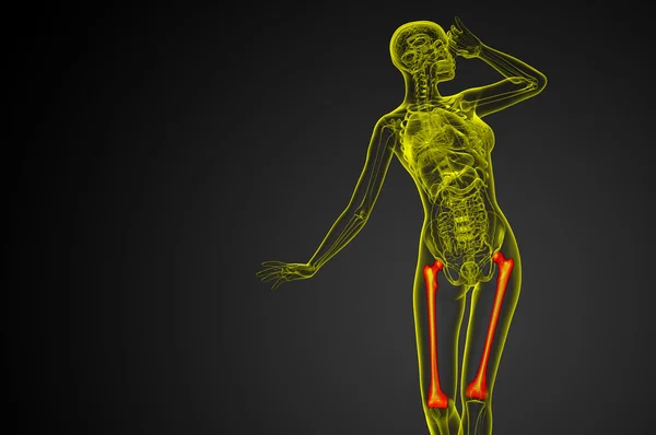 3D-Darstellung medizinischer Darstellung des Oberschenkelknochens — Stockfoto