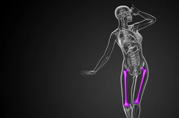 3d 渲染医学插图的股骨颈骨 — 图库照片