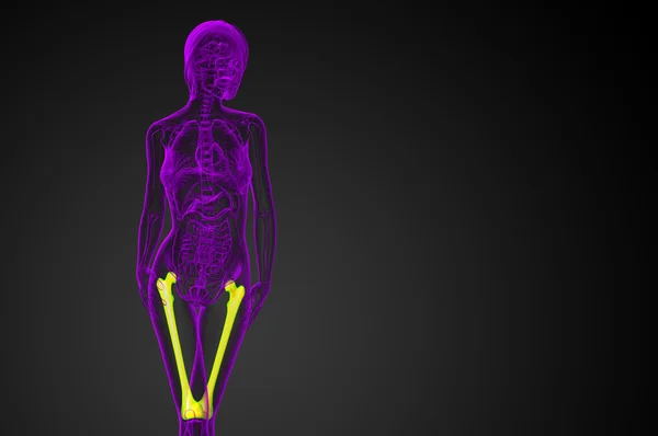 大腿骨の 3 d レンダリングの医療イラスト — ストック写真