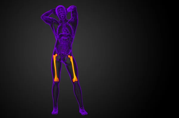 3D-Darstellung medizinischer Darstellung des Oberschenkelknochens — Stockfoto