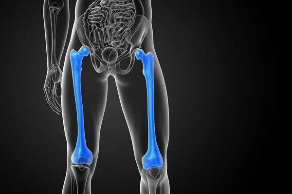 3d hacer ilustración médica del hueso del fémur — Foto de Stock