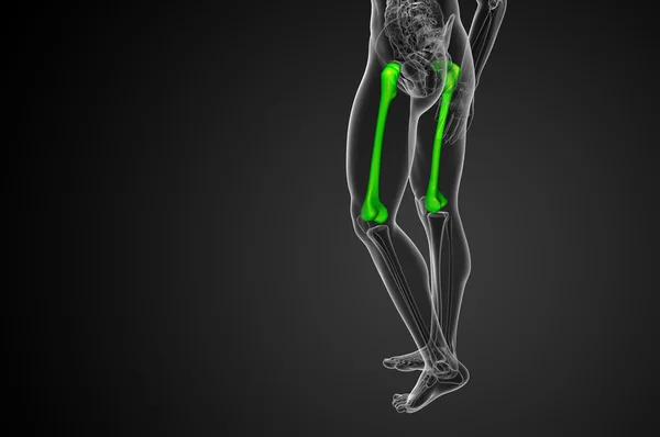 3d rendre illustration médicale de l'os du fémur — Photo