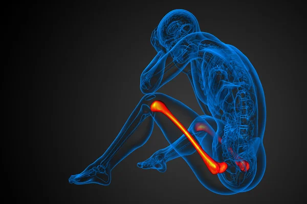 3D göra medicinsk illustration av lårbenet ben — Stockfoto