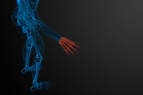 3d representación ilustración de la mano esqueleto —  Fotos de Stock