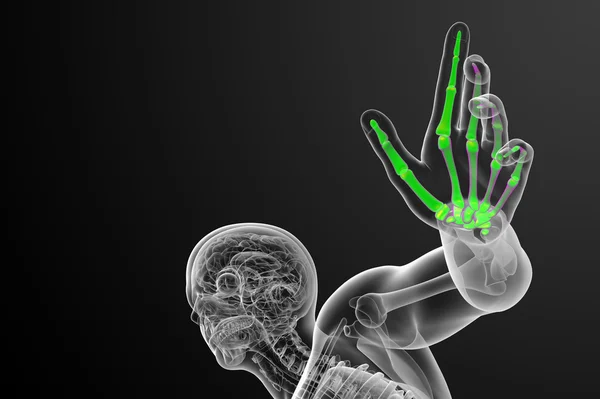 3D แสดงภาพของมือโครงกระดูก — ภาพถ่ายสต็อก