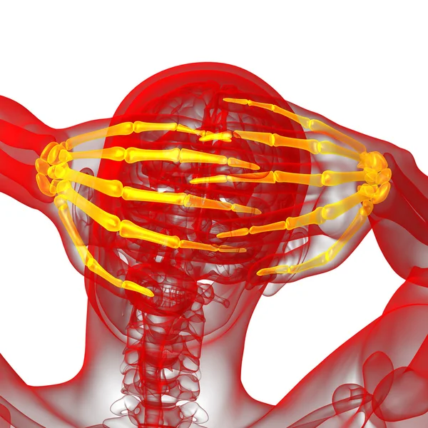 スケルトンの手の 3 d レンダリング図 — ストック写真