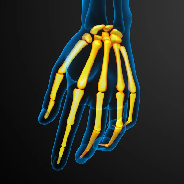 3D καθιστούν εικονογράφηση του χεριού σκελετός — Φωτογραφία Αρχείου