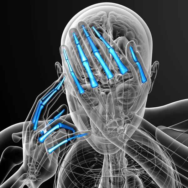 3D-Darstellung der menschlichen Phalangenhand — Stockfoto