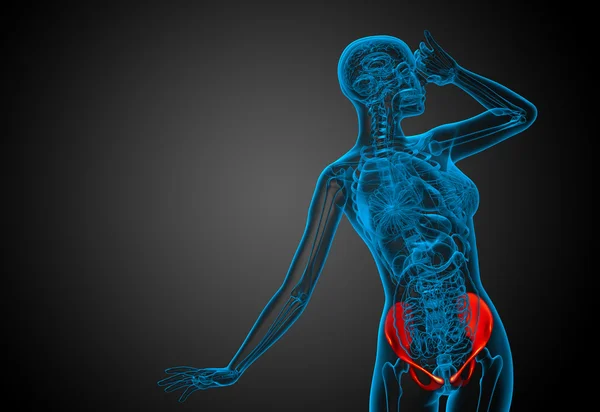 3D orvosi illusztráció a csípő csont — Stock Fotó