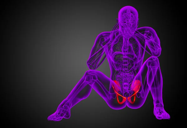 3D orvosi illusztráció a csípő csont — Stock Fotó