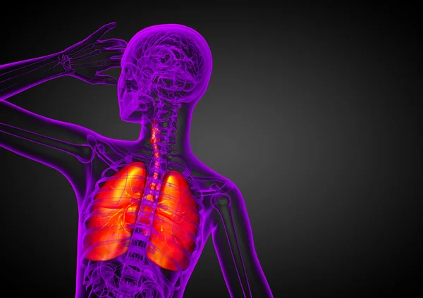 3D καθιστούν ιατρική απεικόνιση των το ανθρώπινο αναπνευστικό σύστημα — Φωτογραφία Αρχείου