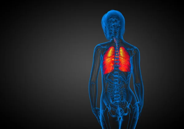 3d hacer ilustración médica del sistema respiratorio humano —  Fotos de Stock