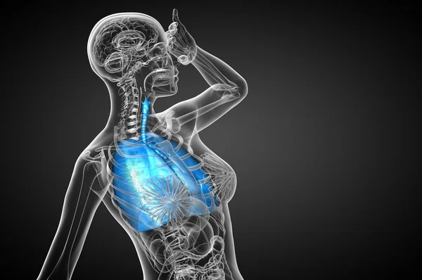 3d hacer ilustración médica del sistema respiratorio humano — Foto de Stock