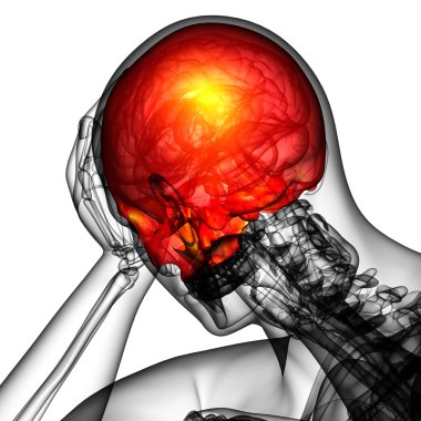 3D render Medikal illüstrasyon üst kafatası 