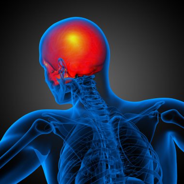 3D render Medikal illüstrasyon üst kafatası 