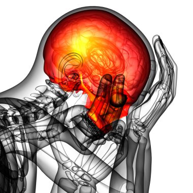 3D render Medikal illüstrasyon üst kafatası 