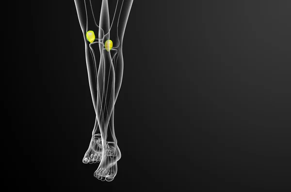 3D göra medicinsk illustration av knäskålen ben — Stockfoto