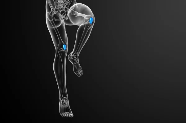 Diz kapağı kemiği 3D render tıbbi çizimi — Stok fotoğraf