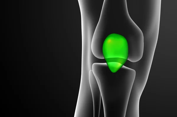 Lymphatic system of human pelvic girdle skeleton artwork — Stock Photo