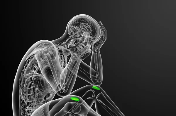 3d рендеринг медицинской иллюстрации кости коленной чашечки — стоковое фото