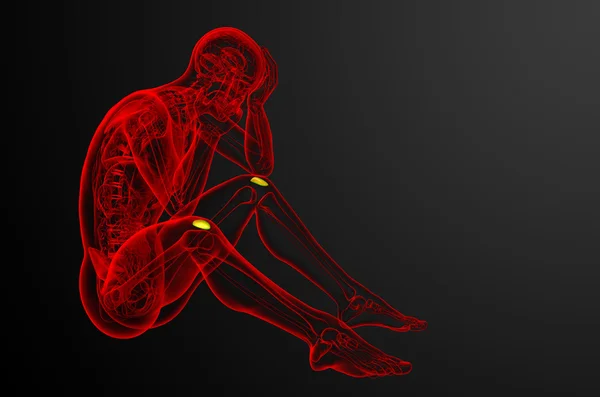 3d Gjøre medisinsk illustrasjon av patella-benet – stockfoto