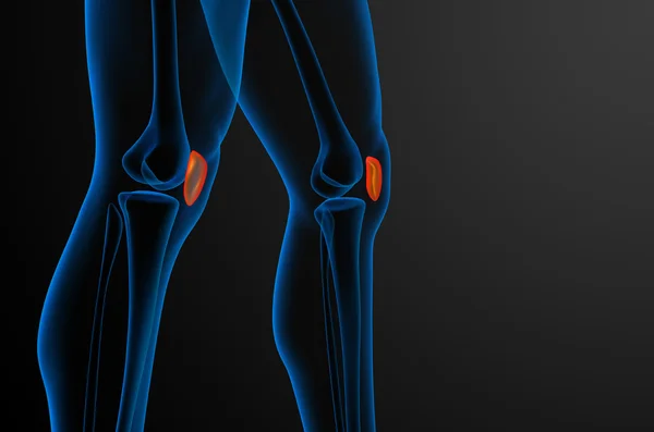 3D render medische illustratie van het patella-bot — Stockfoto