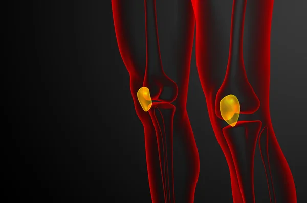 3d render medical illustration of the patella bone — Stock Photo, Image