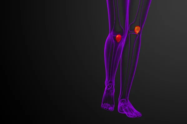 3d rendere illustrazione medica dell'osso della rotula — Foto Stock