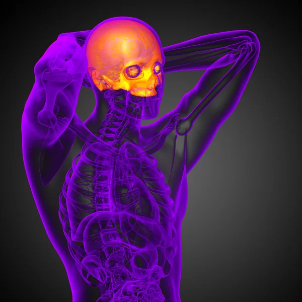 3D render Medikal illüstrasyon üst kafatası — Stok fotoğraf