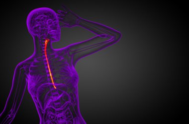 özofagus 3D render çizimi