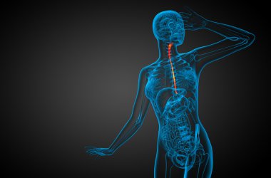 özofagus 3D render çizimi