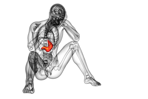 3d face ilustrație medicală a stomacului — Fotografie, imagine de stoc