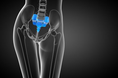 3D render Medikal illüstrasyon sakrum kemiği