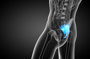 3D render Medikal illüstrasyon sakrum kemiği