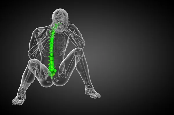 3d tornar ilustração médica da coluna vertebral humana — Fotografia de Stock