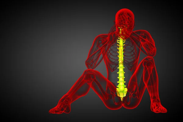 3D göra medicinsk illustration av den mänskliga ryggraden — Stockfoto