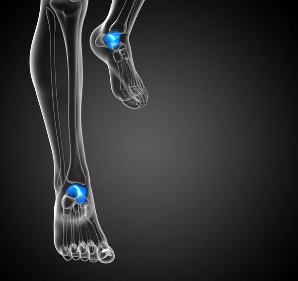 Illustrazione di rendering 3d dell'osso del malleolo — Foto Stock