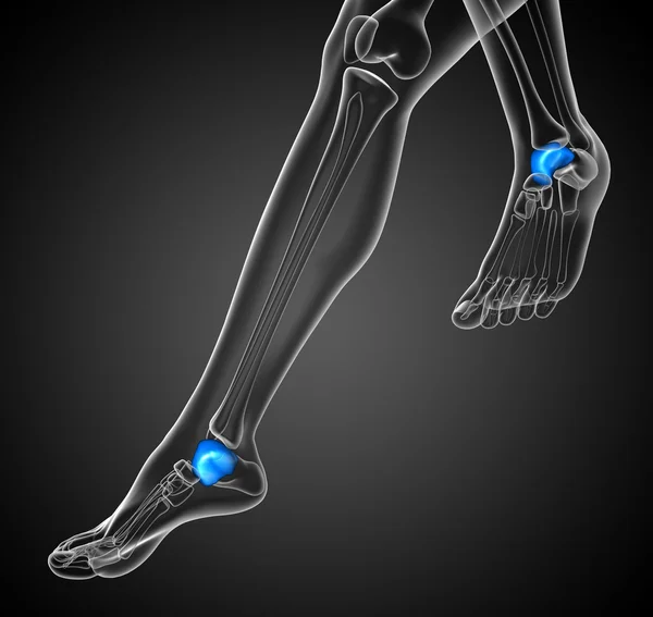 3d render illustration of the malleolus bone — Stock Photo, Image