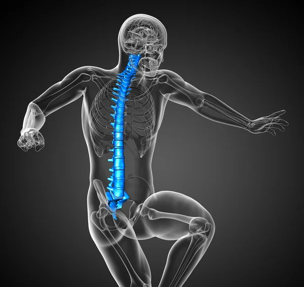 3D göra medicinsk illustration av den mänskliga ryggraden — Stockfoto