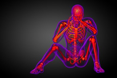 3D render Medikal illüstrasyon iskelet kemik 