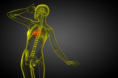 işlenmiş Medikal illüstrasyon insan kalp