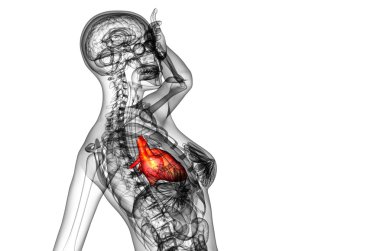 işlenmiş Medikal illüstrasyon insan kalp