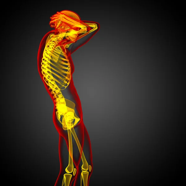 3d візуалізація медичної ілюстрації кістки скелета — стокове фото